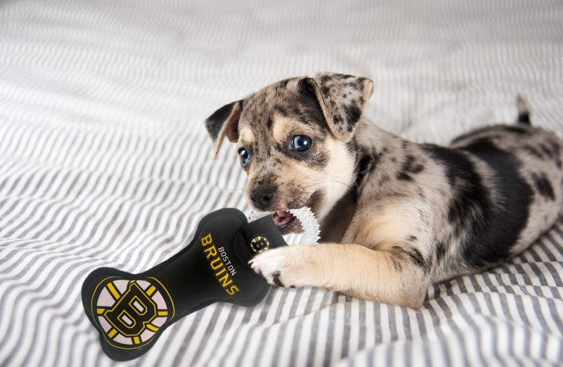 Pets First NHL Boston Bruins Dental Dog TUG Toy with Squeaker. Tough PET Toy for Healthy Fun, Teething & Cleaning Pet's Teeth & Gum., Team Color, one Size (BRU-3310) - Image 3